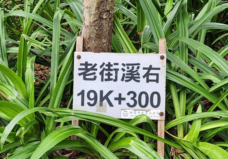 61a6bfd33fe65c1c4cd1344a1019d988.jpg