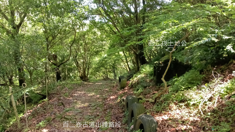 61fa7b504b1130b9b8974caa3f5232f2.png