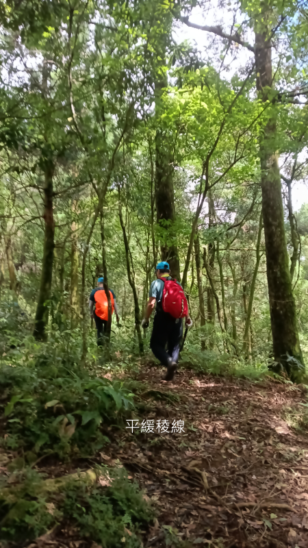 6240d5de858e7230465de56096ee1d99.png