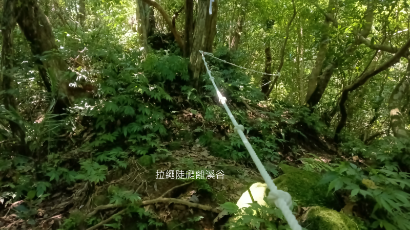 6260dca0d206888f2596ce8ad20f3567.png