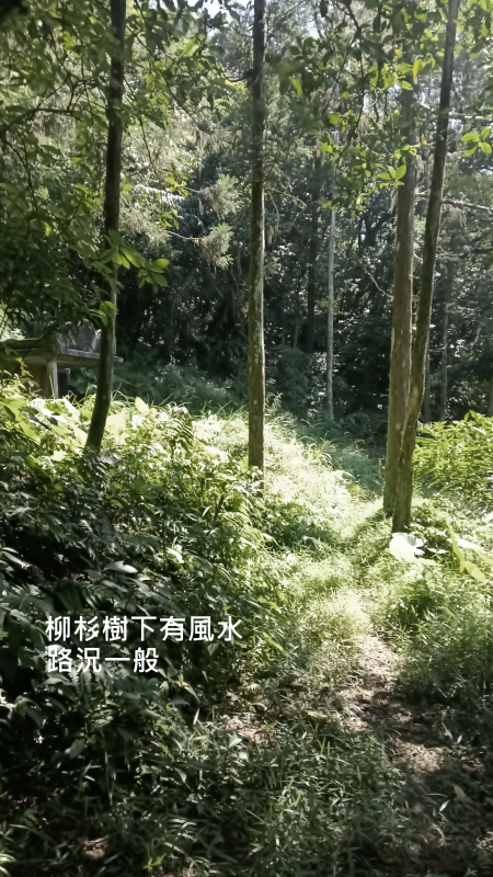 626d1798b11f133a22c5397975bc8fd7.png