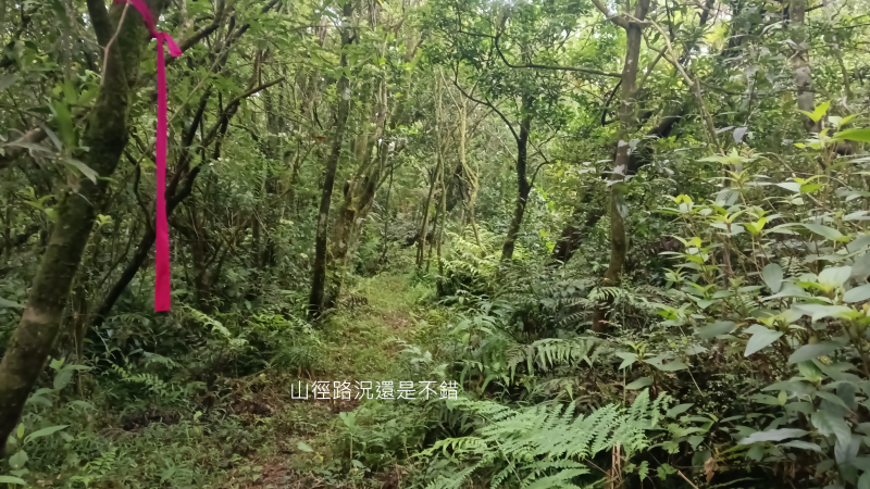 626eeaa10e671bf8beb5c58a6306266e.png