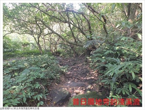 石梯坑古道 (36).JPG - 石梯坑古道