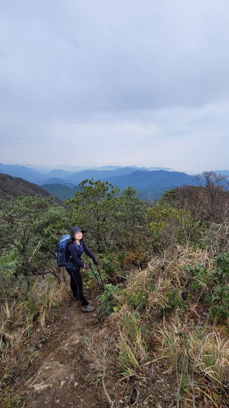 沒有三兩山，別來插天山🌚