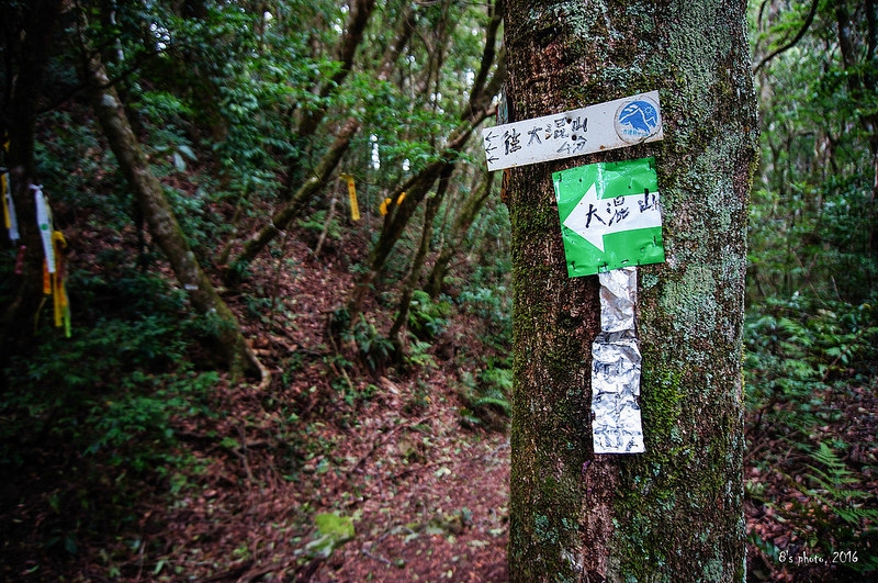 大混山李棟山岔