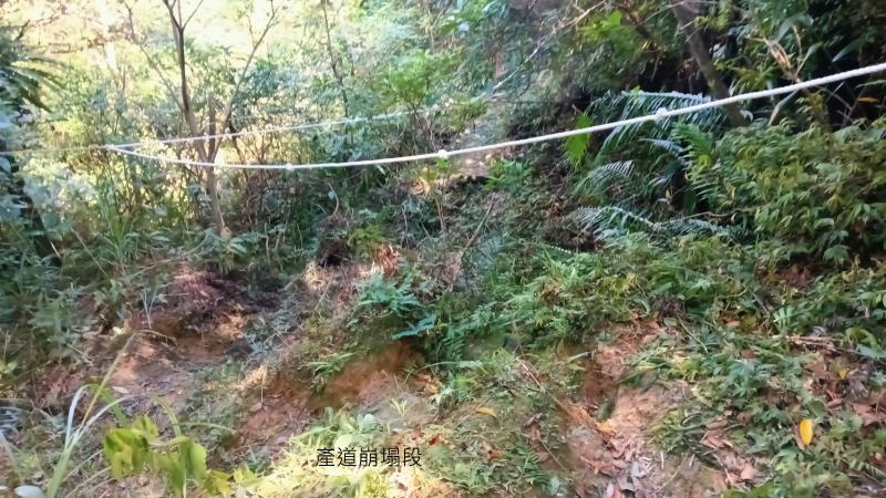 62f7e4ddd3ce58a0938201e1af82e57c.png