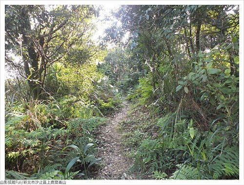 上鹿窟崙山 (37).JPG - 上鹿窟崙山