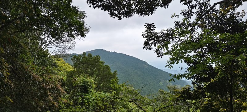 640e58172ec44762206f78ef498e2a77.jpg