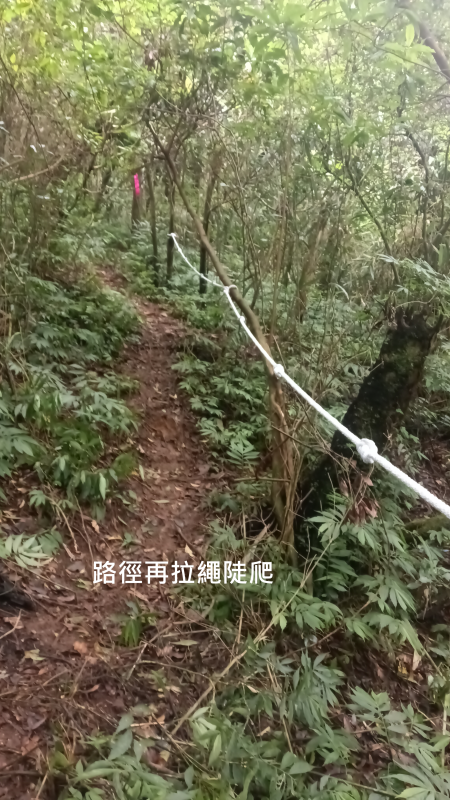 64350bfaf08a874fc1b1074c9163a07a.png