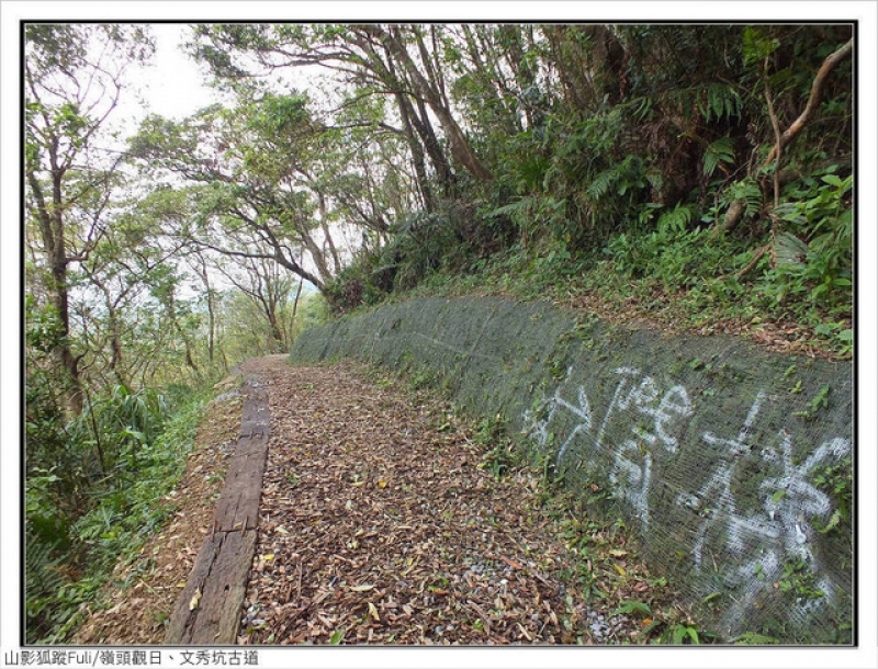 嶺頭觀日、文秀坑古道 (33).jpg - 嶺頭觀日、文秀坑古道