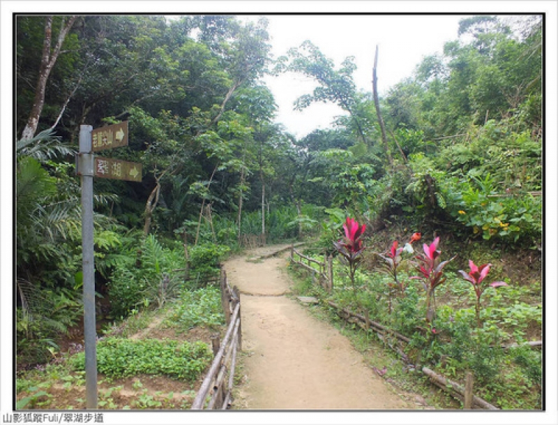 翠湖步道 (18).jpg - 翠湖步道