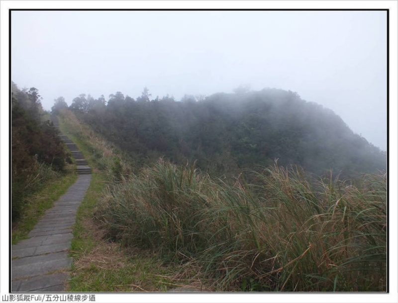 五分山稜線步道 (82).jpg - 五分山稜線步道