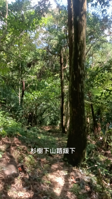 64ce3e829fbf961e295f0eac9d01aee8.png