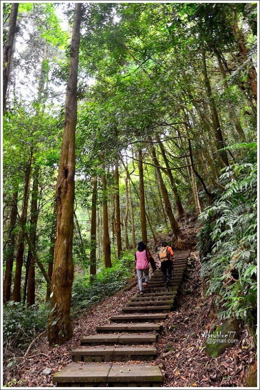 石壁木馬古道-五元二角-雲嶺之丘