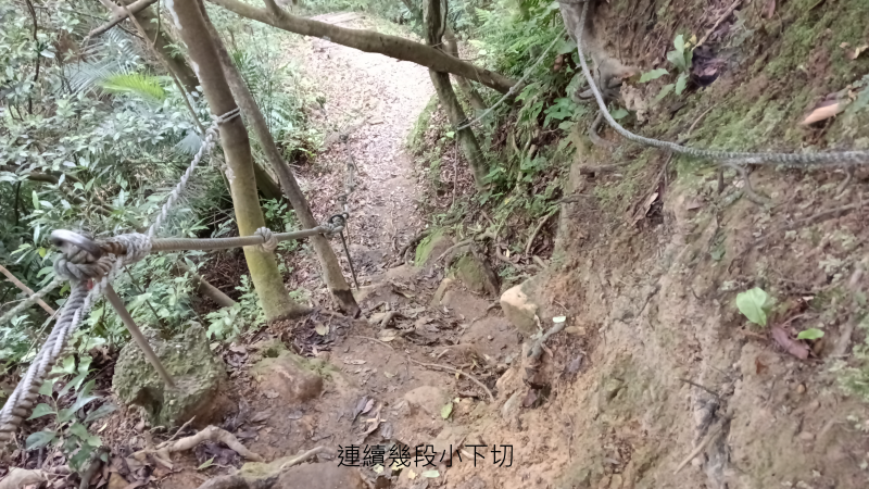 650a8067d20213006ab2ed2a48194d25.png