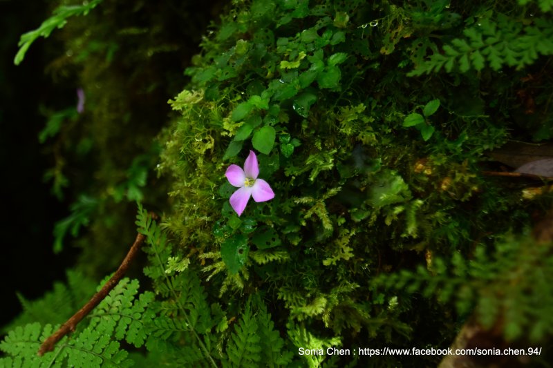 65212e8acf9f5bcdbb66c6c03469df30.jpg