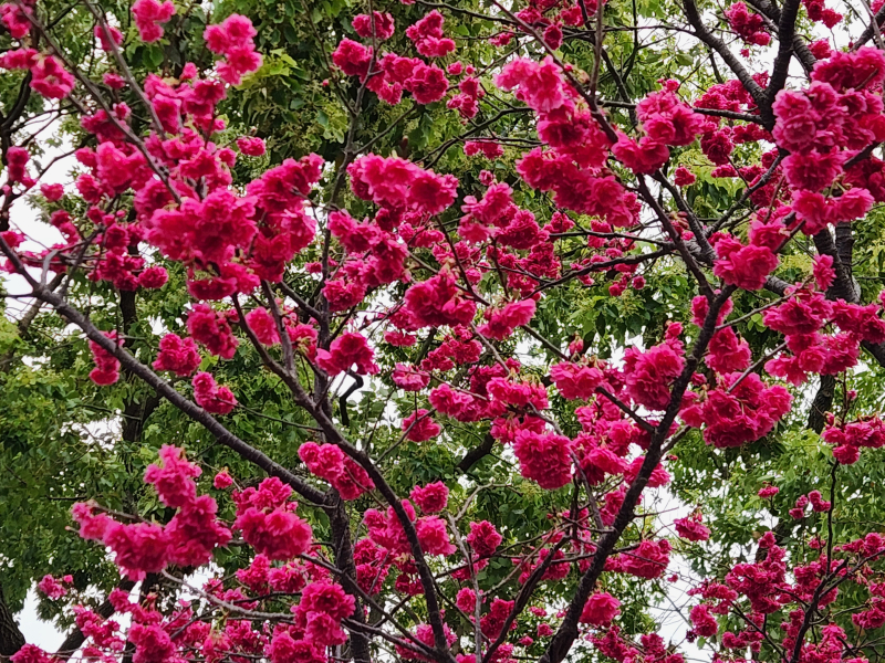 6538c0a3a8087a57a28d154879f8c906.jpg