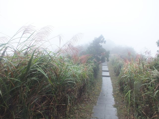 五分山稜線步道 (56).JPG - 雨霧五分山