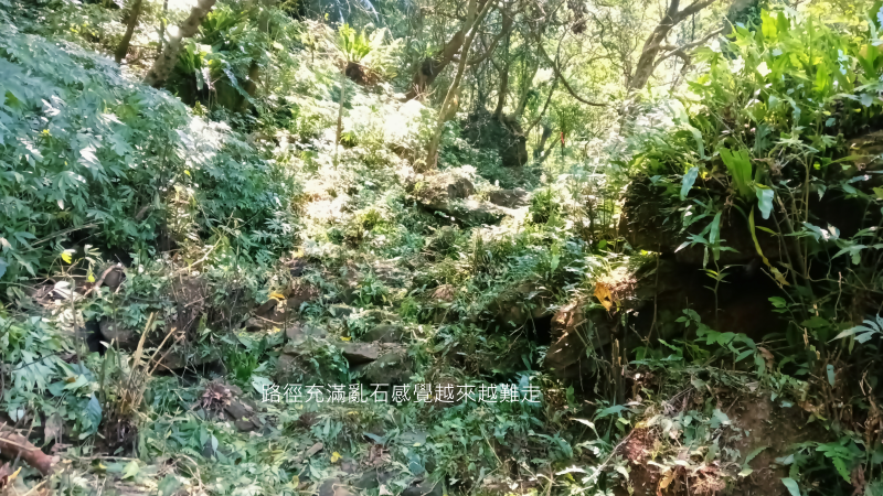 6542428de5f685cb95f65de333a88b12.png