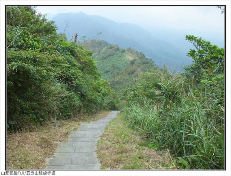 五分山稜線步道 (37).jpg - 五分山稜線步道