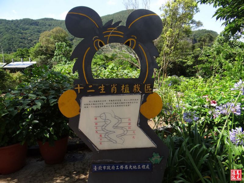 台北市 內雙溪藥用植物園 愛情花季 健行筆記