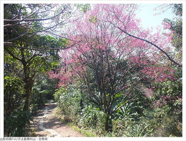 橫科山白匏湖 (58).JPG - 橫科山、白匏湖