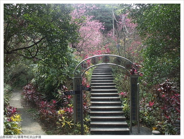 紅淡山步道 (11).JPG - 紅淡山步道