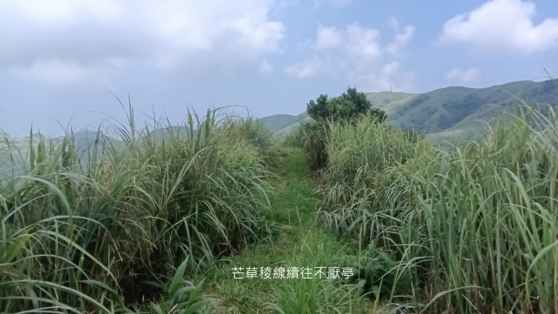 671ff1a42837e698eb25cd3d6de18ece.png