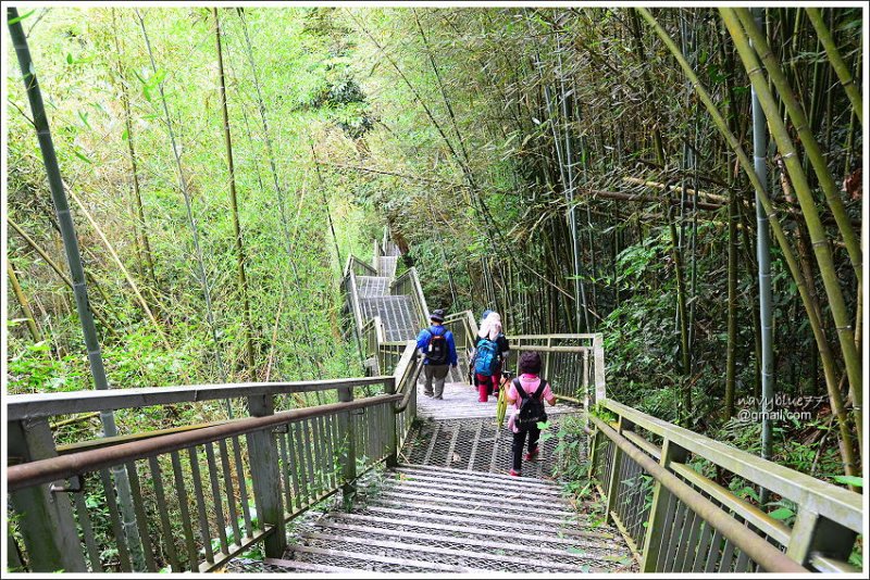 雙龍吊橋天時棧道 (20).JPG