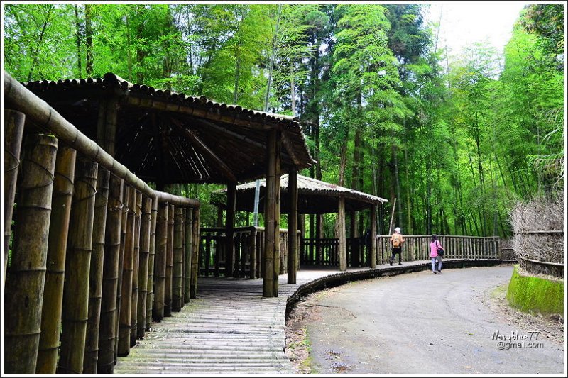 石壁木馬古道-五元二角-雲嶺之丘