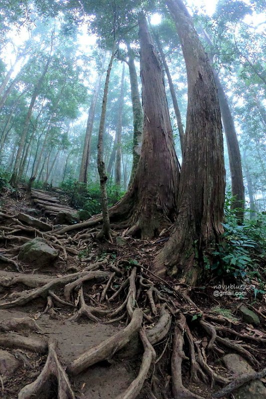 北得拉曼內鳥嘴山 (14).JPG