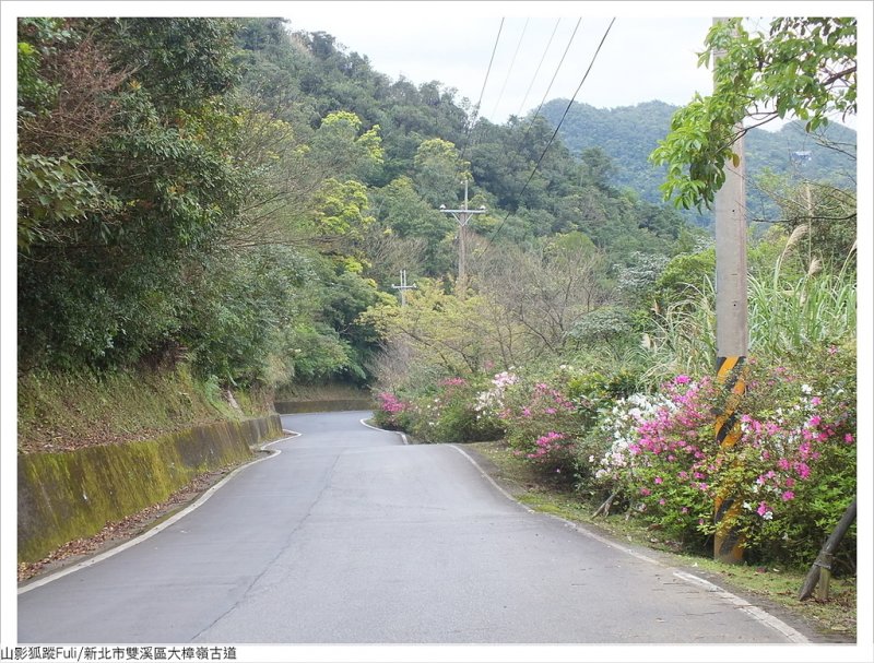 大樟嶺 (28).JPG - 大樟嶺