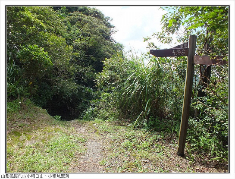 小粗口山 (91).jpg - 小粗口山、小粗坑聚落