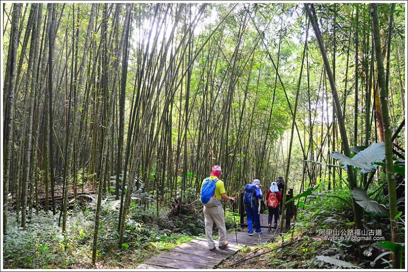 迷糊步道-福山古道