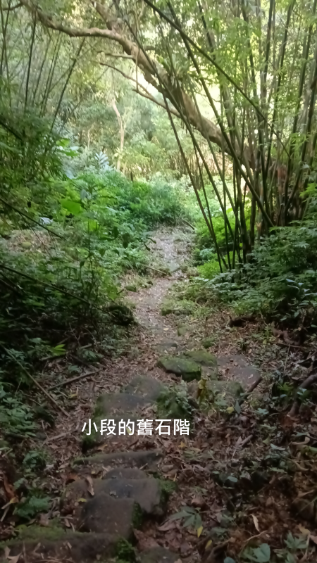 682416b1ddf90daf62af5abe43328e52.png