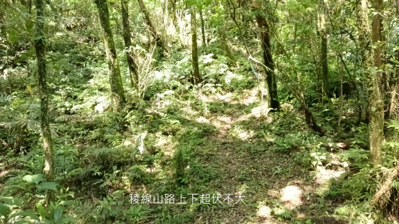 6999d7e02f9f6863ad3c73b758b2ec0f.png