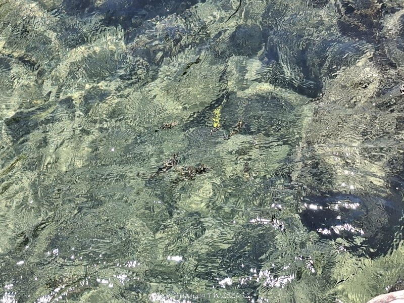 69b2822d0e999ce3b409fdf8703f9db2.jpg