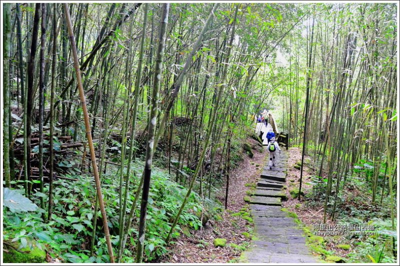 迷糊步道-福山古道