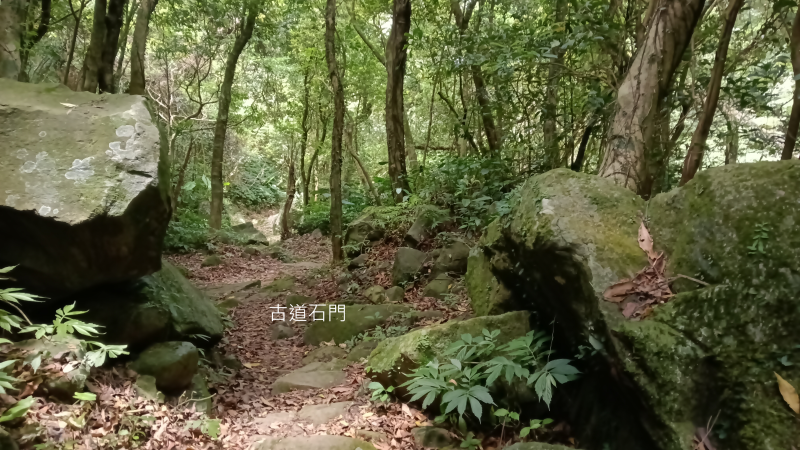 6a00777ee718d6e10af798cc748e9abc.png