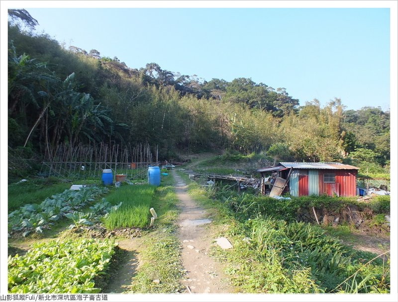 炮子崙古道 (51).JPG - 炮子崙古道