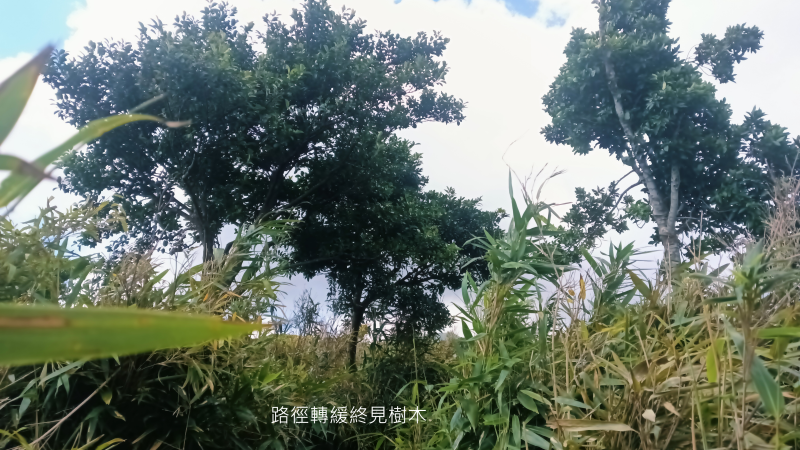 6a9e4778d46e4cab58db7ae06ac2a672.png