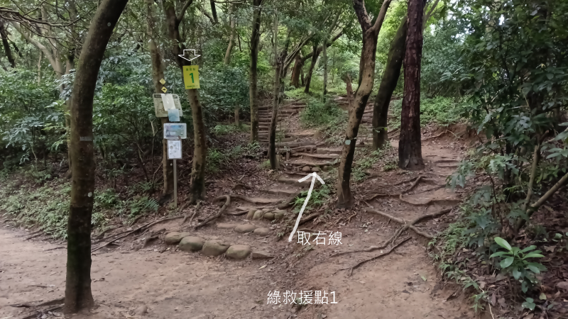 6a9f06cf5ef6f5f1bb1ed83a7d17b958.png