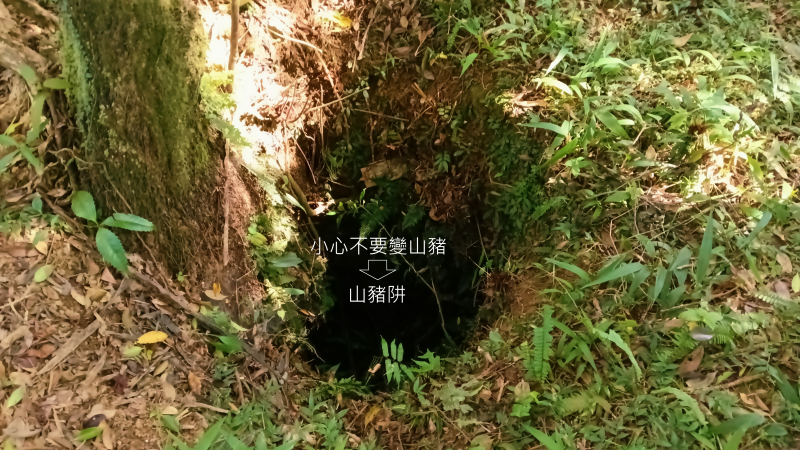 6ae24cf70f5eaa8fa9c7ea3494168275.png