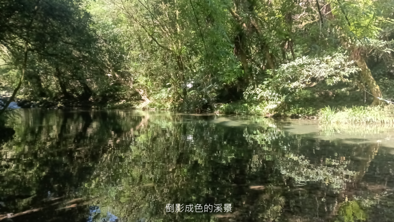 6aed25824fd93fcf593da767844ac98d.png