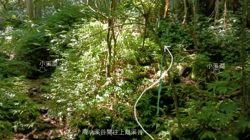 6b20e7747c68b0f3590a0d743d27bc2b.png