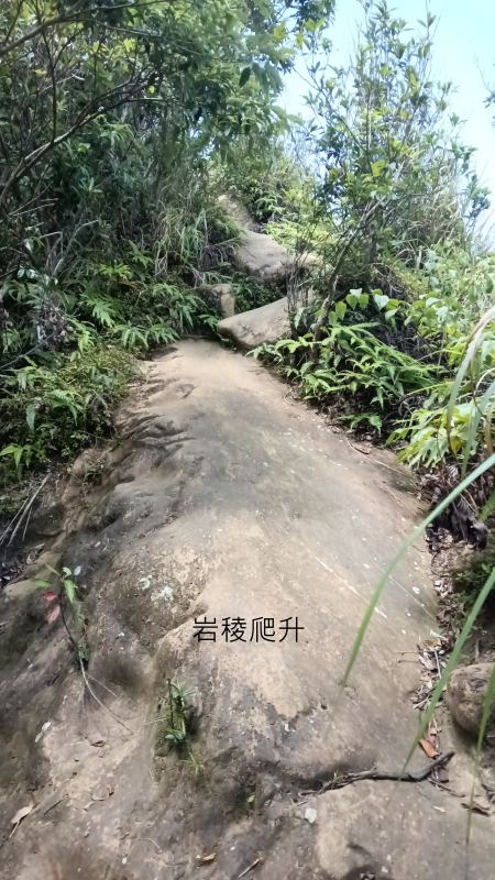 6b8b7c9715645c18ee022e1945a466f7.png