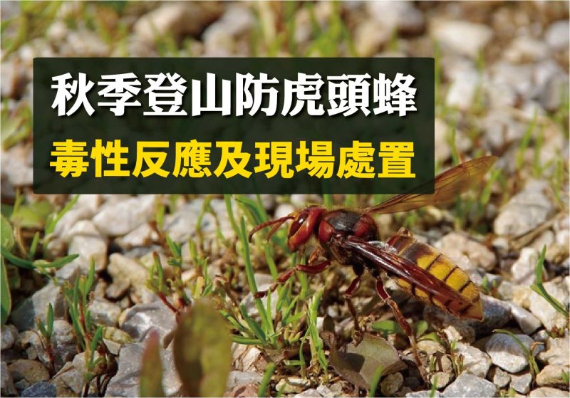登山醫學】虎頭蜂- 健行筆記