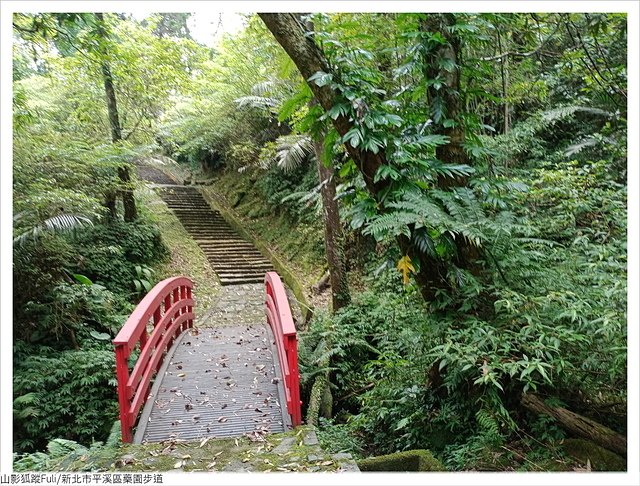 藥園步道 (56).jpg - 藥園步道