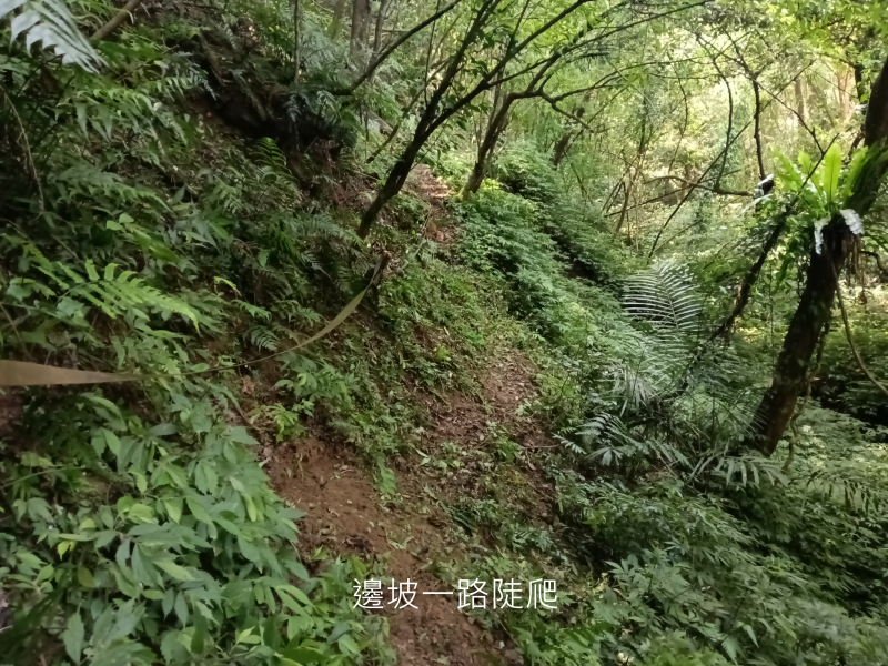6c3b0b3f6ac0a966fe7e419882d0618e.png