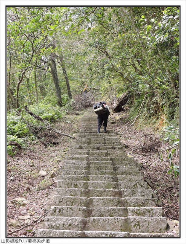 薯榔尖步道 (11).jpg - 薯榔尖步道